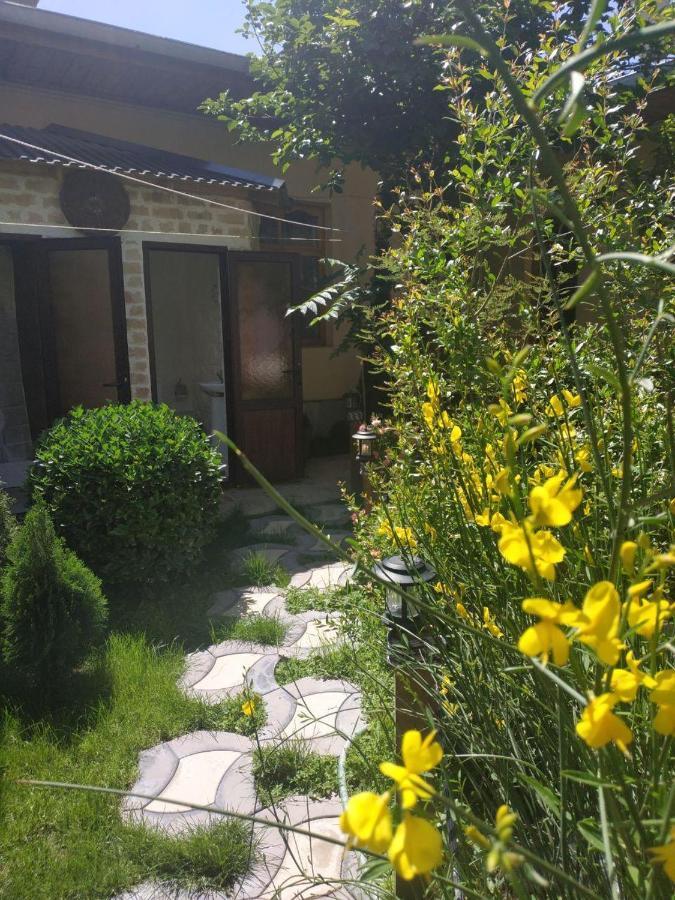 Sim Sim Hostel & Guest House Near The Church 사마르칸트 외부 사진