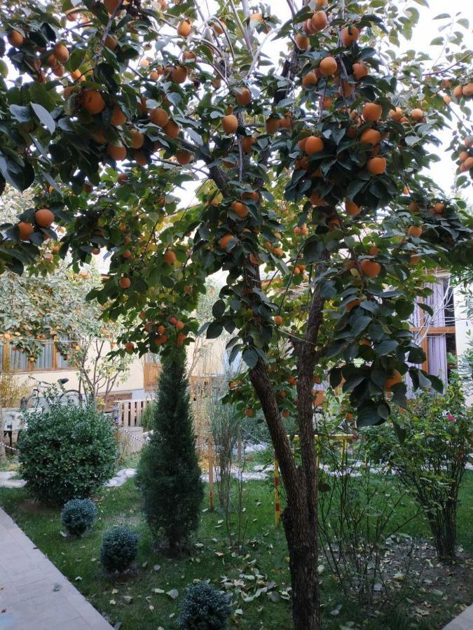 Sim Sim Hostel & Guest House Near The Church 사마르칸트 외부 사진