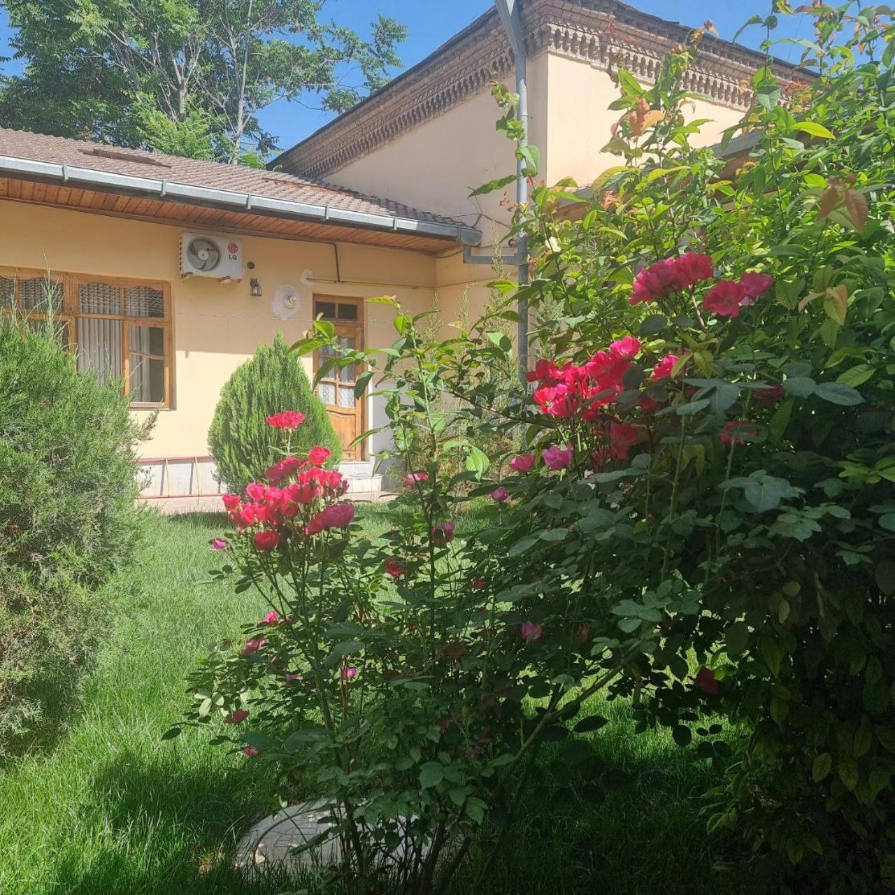 Sim Sim Hostel & Guest House Near The Church 사마르칸트 외부 사진