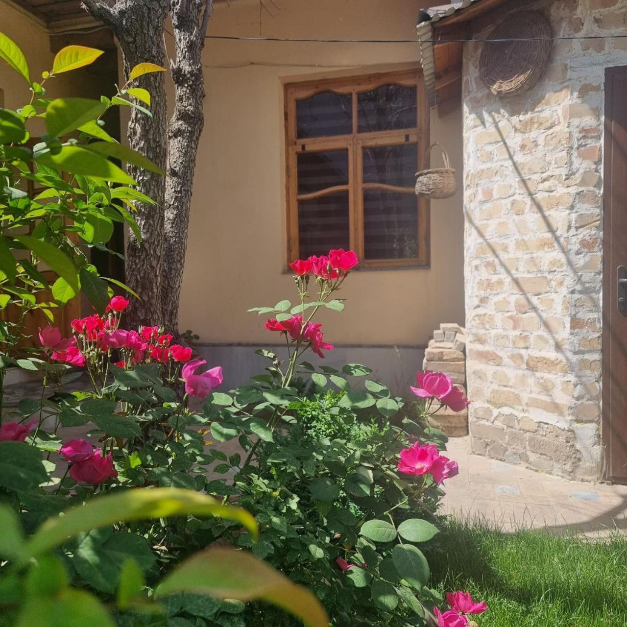 Sim Sim Hostel & Guest House Near The Church 사마르칸트 외부 사진